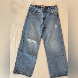 Levi's Premium Low Loose Distressed Wide Leg Jeans